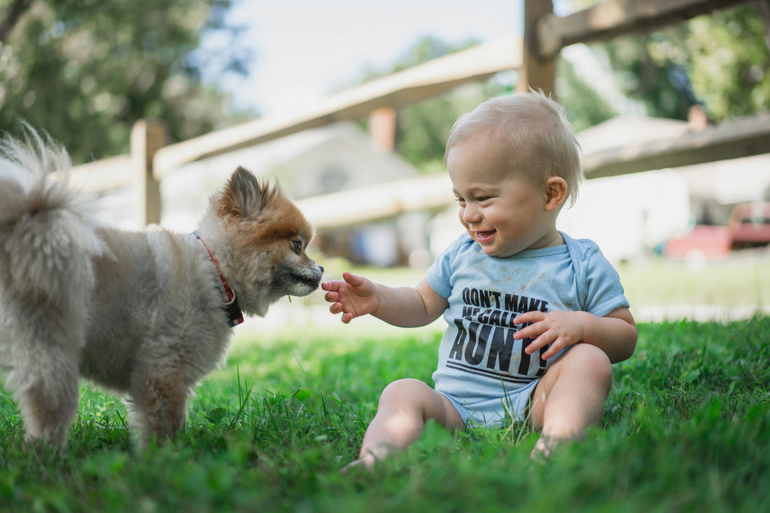 How to Introduce Your Puppy to Children and Other Pets | Puppy Socialization Guide