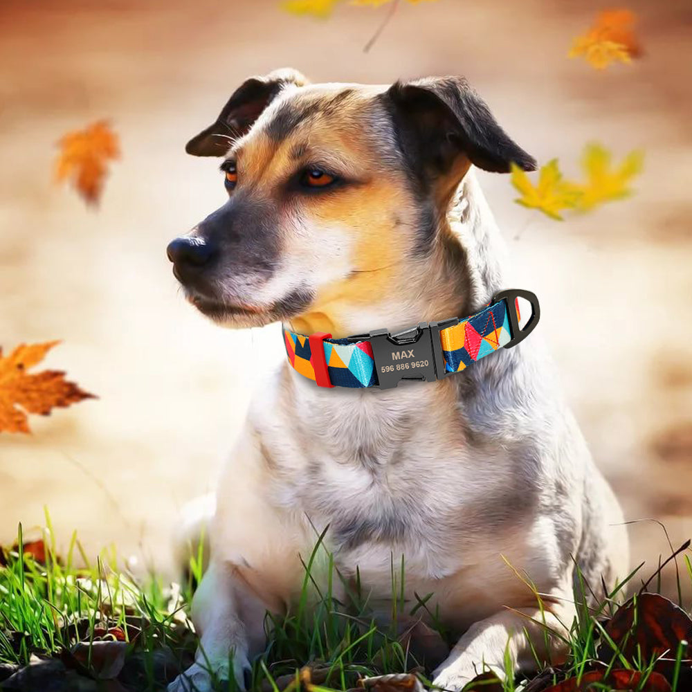 Personalized Custom-Engraved Dog Tag Collar – Durable ID Nameplate Collar for Small, Medium & Large Dogs – Bulldog, German Shepherd & Beagle Friendly