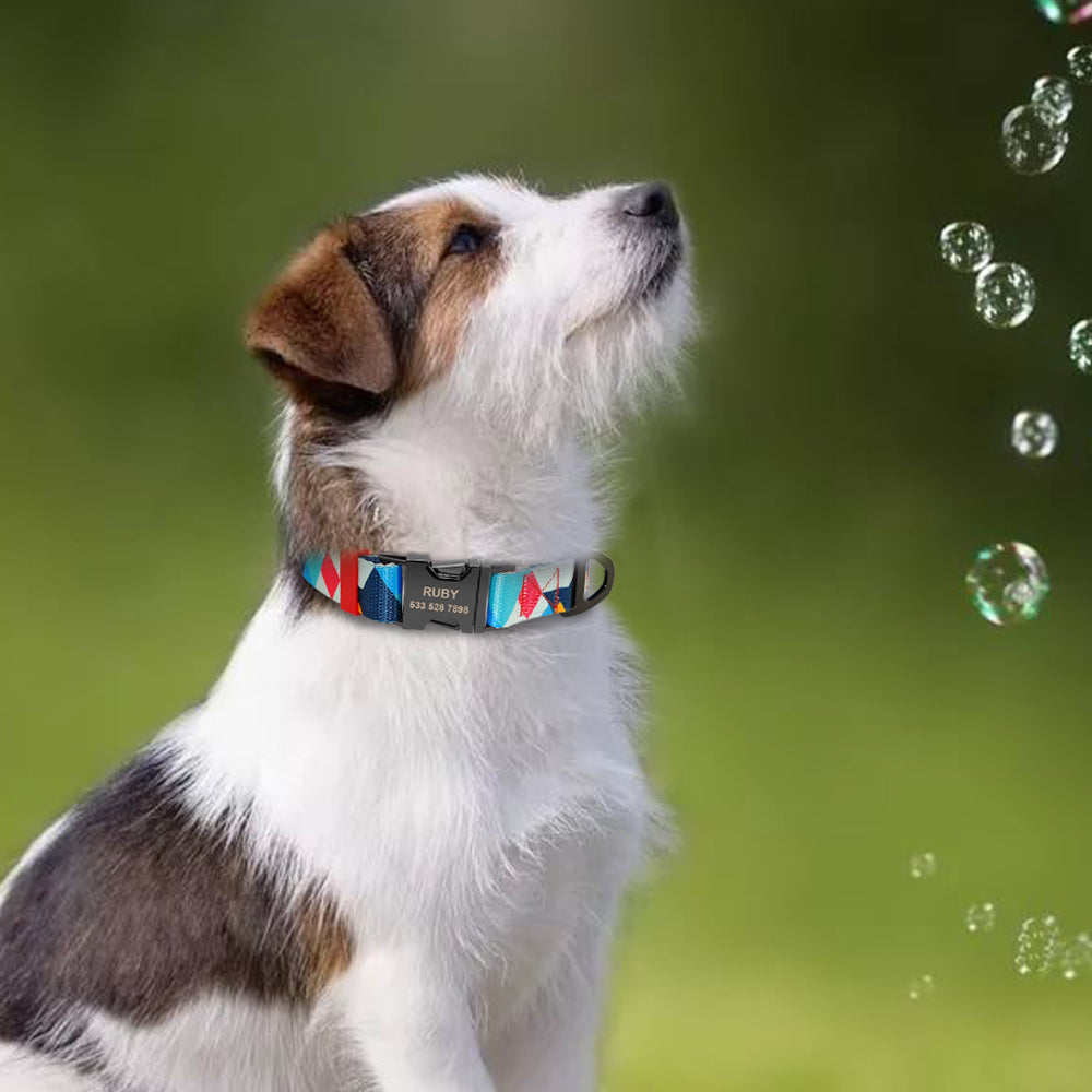 Personalized Custom-Engraved Dog Tag Collar – Durable ID Nameplate Collar for Small, Medium & Large Dogs – Bulldog, German Shepherd & Beagle Friendly