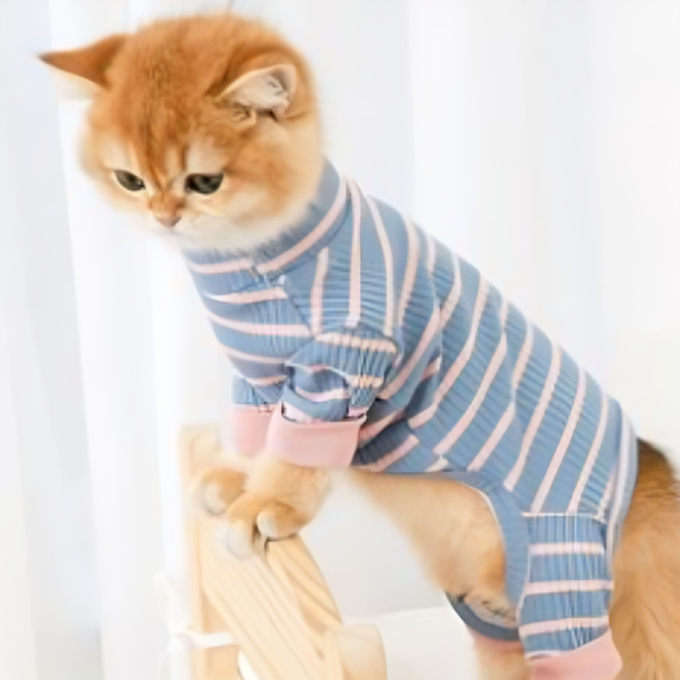 Four-Legged Cat Clothes – Casual Anti-Shedding Bodysuit with Striped and Hooded Styles for Sphynx, British Shorthair Cats